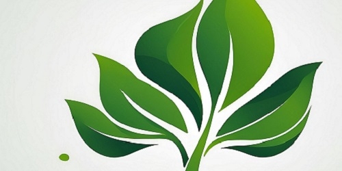 fairnetz-banner
